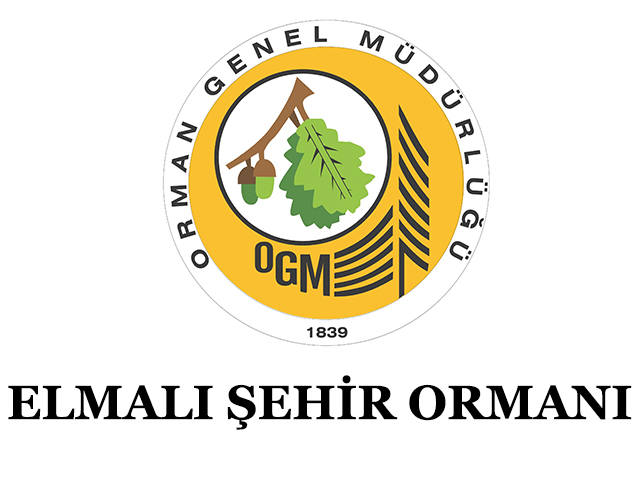 ELMALI ŞEHİR ORMANI